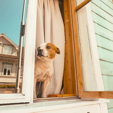 אכסניה Activities