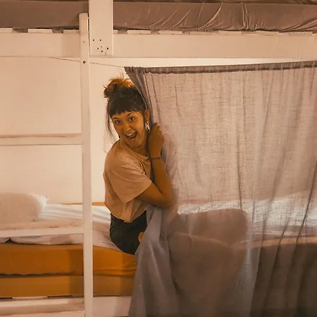 Activities Тромсё