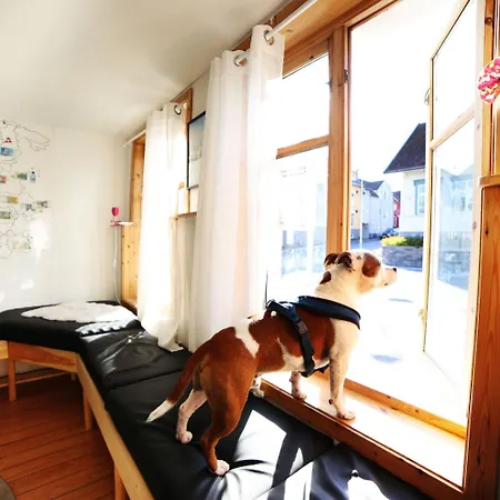 The Tromso Hostel *