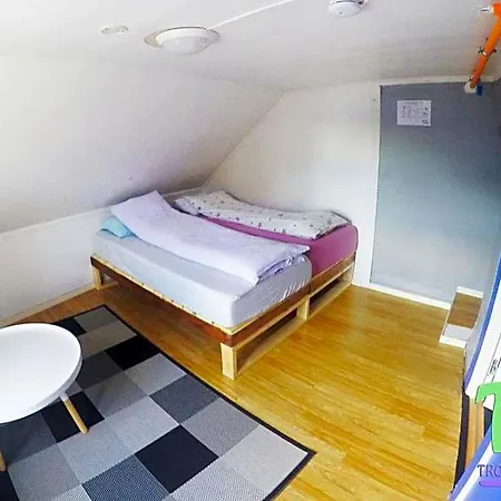 Activities Hostel Τρόμσο