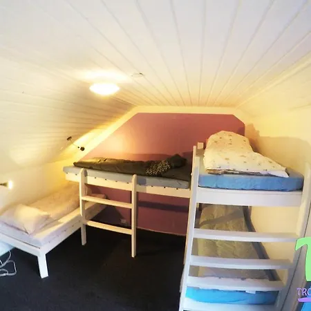 Albergue Activities Tromsø