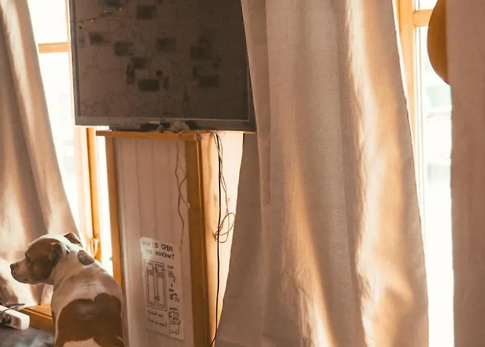 Activities Ostello *