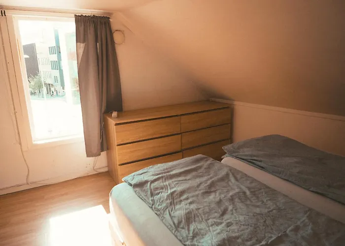 Ostello Activities Tromsø