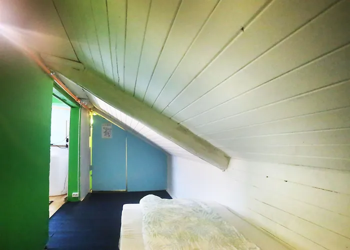 Activities Hostel Tromsø