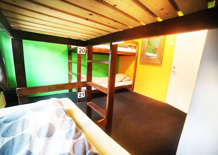 Activities Hostel Tromsø