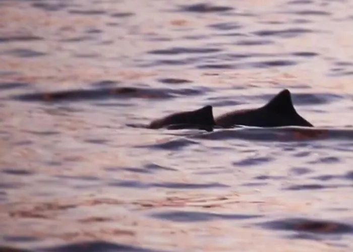 Activities * Tromsø