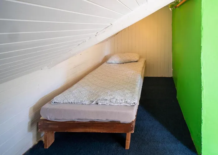 Activities Hostel Tromsø