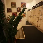 Hostel Activities *