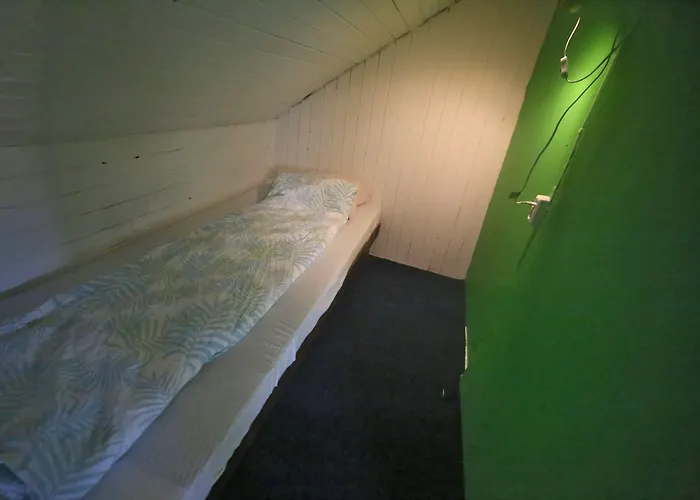 Activities Albergue *