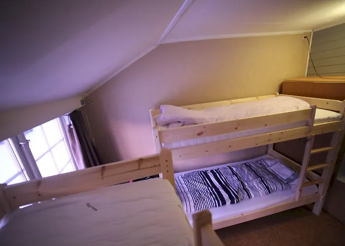 Albergue Activities Tromsø