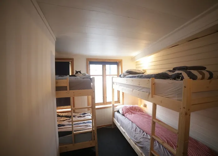 Albergue Activities Tromsø